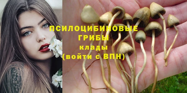 MESCALINE Майский