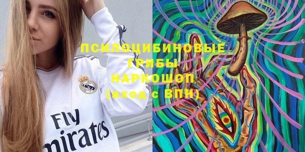 ПСИЛОЦИБИНОВЫЕ ГРИБЫ Кондопога