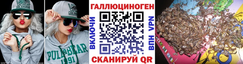 MEGA ссылка Мариинский Посад Галлюциногенные грибы Psilocybine cubensis